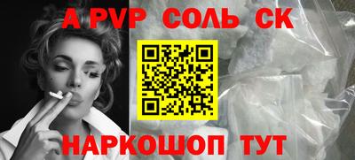 индика Камышлов