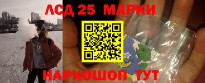 индика Камышлов