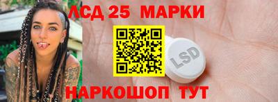амф Кандалакша