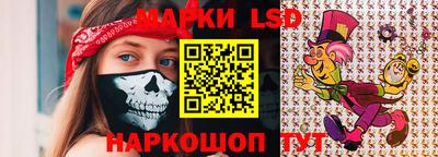 индика Камышлов