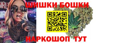 индика Камышлов