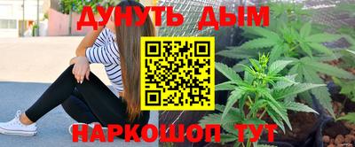 индика Камышлов