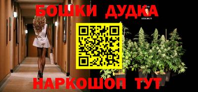 индика Камышлов