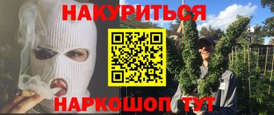 индика Камышлов