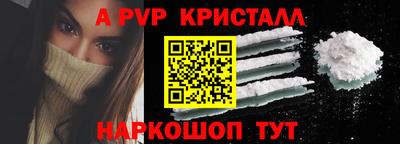индика Камышлов