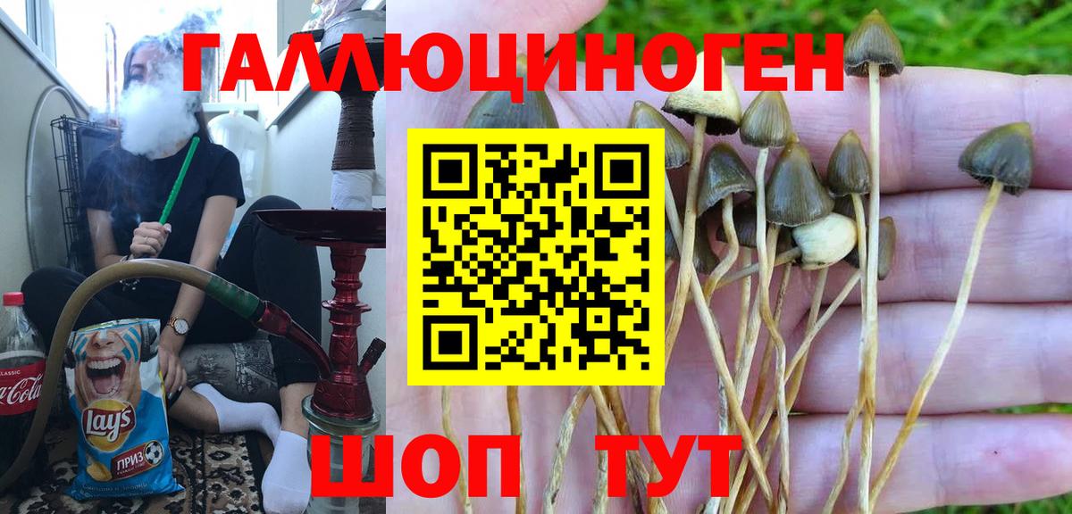 Орехово-Зуево  Псилоцибиновые грибы прущие грибы  Вход с VPN  Псилоцибиновые грибы ЛСД 